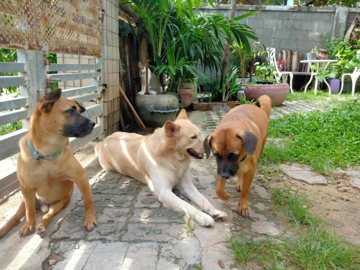 Bed and Breakfast Kol House Phnom Penh Exterior foto