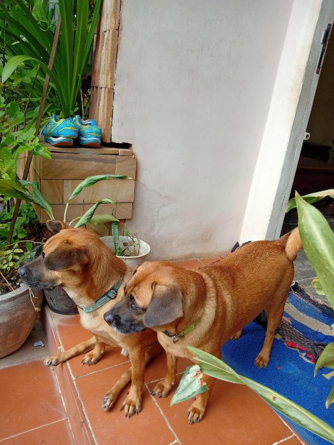 Bed and Breakfast Kol House Phnom Penh Exterior foto